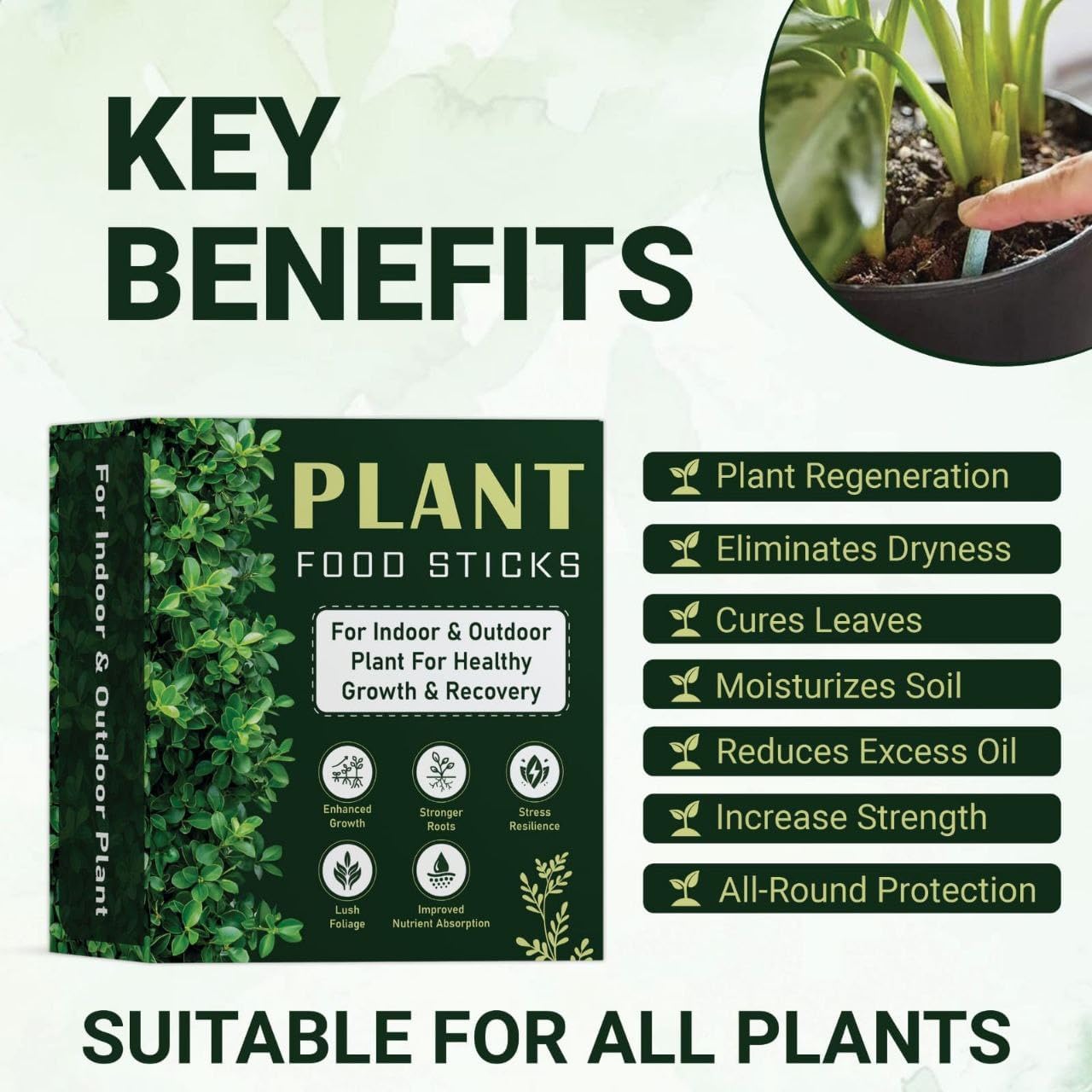 Organic Plant Food Sticks