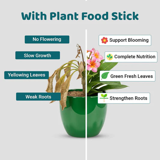 Organic Plant Food Sticks